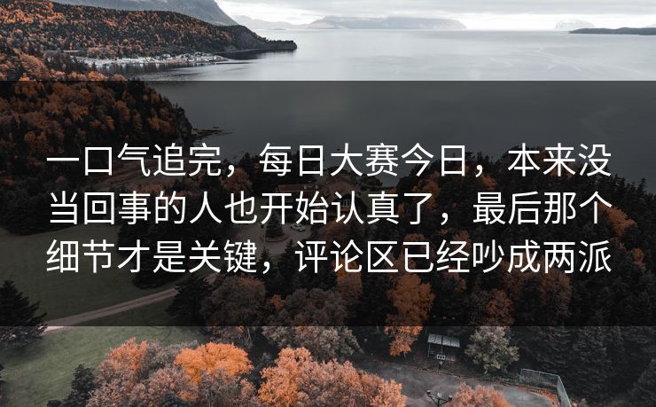 一口气追完，每日大赛今日，本来没当回事的人也开始认真了，最后那个细节才是关键，评论区已经吵成两派